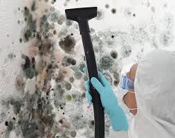  , USA Mold Removal Pros